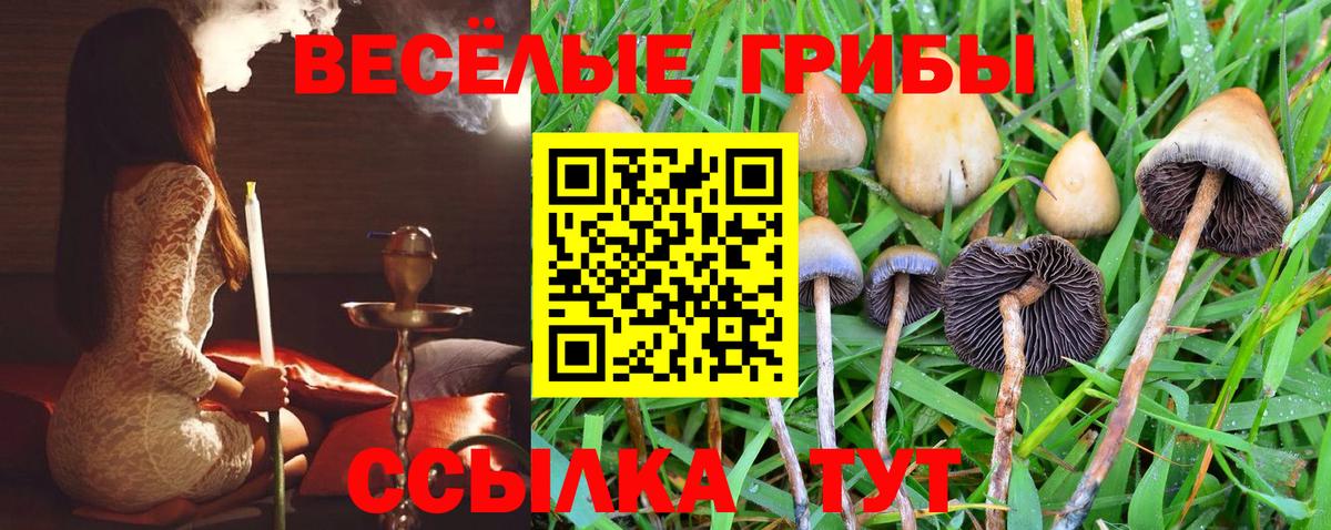 Свободный  Галлюциногенные грибы мухоморы  Вход с VPN 