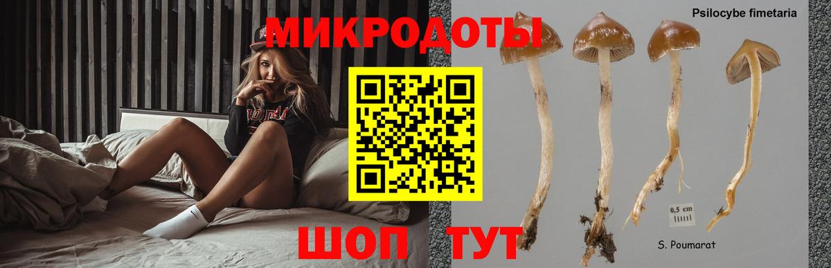 Псилоцибиновые грибы мухоморы Свободный